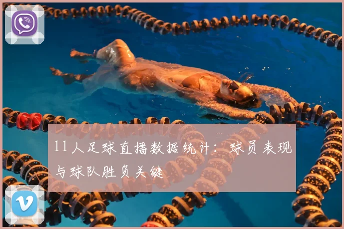 11人足球直播数据统计：球员表现与球队胜负关键