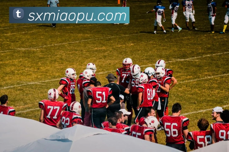 beat365唯一官网平台生态图